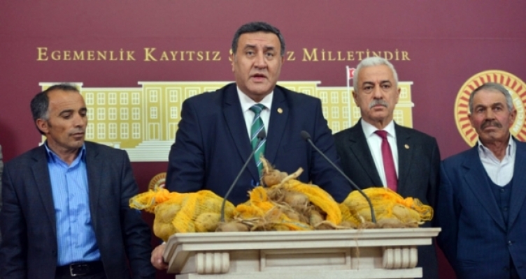 Patates üreticisi kaygılı