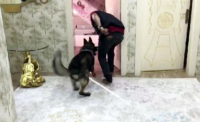 Uyuşturucu operasyonu:3 gözaltı!
