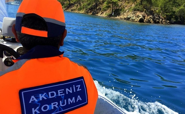 Gökova'ya Yeşil Oscar ödülü