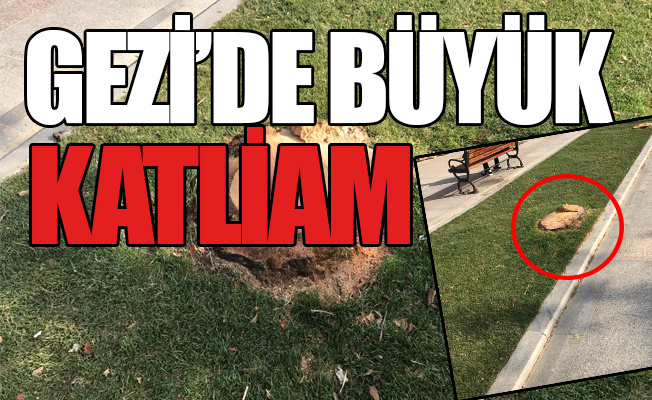 Gezi Parkı'nda ağaç katliamı
