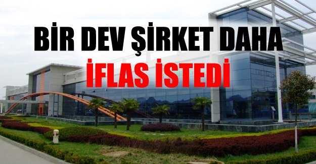 Çinli devin şirketleri için 'iflas' davası