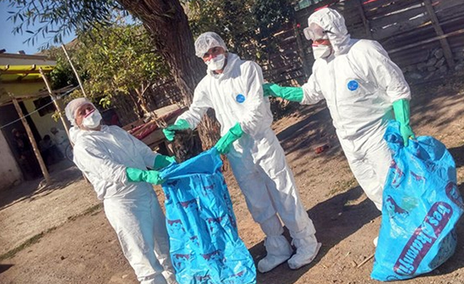 Sivas'ta 'Kuş gribi' alarmı! 3 köy karantinaya alındı