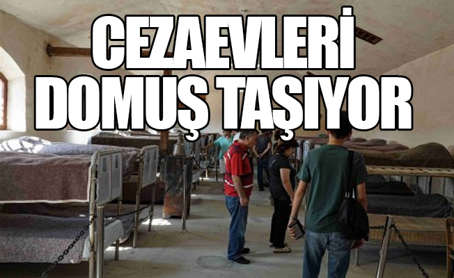 'Cezaevlerindeki hükümlü sayısı kapasitenin çok üzerinde'