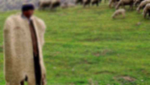 Cinsel ilişki teklif edip parasını çaldılar