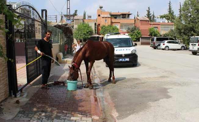 Rögar kapaklarını çalıp, at arabasıyla polisten kaçtılar!