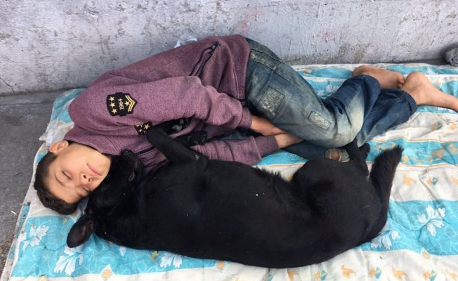 Suriyeli Hasan yürek burktu:  Ailem yok tek arkadaşım Zeytin
