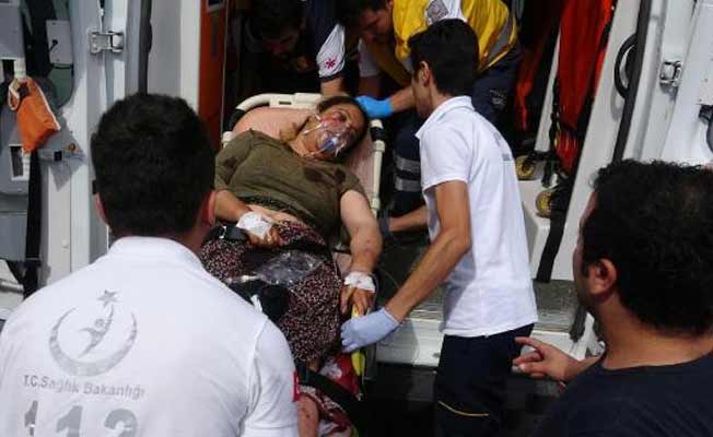 Aile kavgası: 15 kişi av tüfeğiyle yaralandı