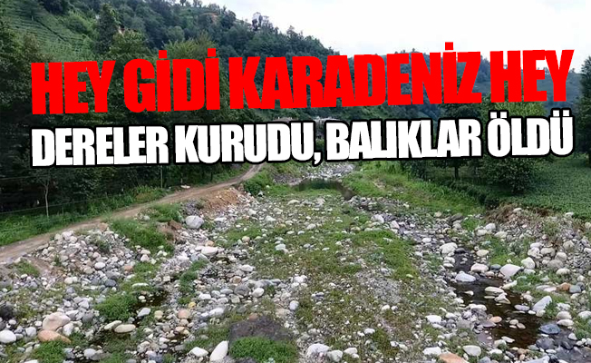 Türkiye’nin en çok yağış alan kenti Rize’de dereler kurudu