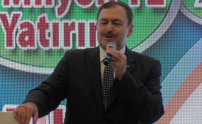 'Ormanlar olmazsa, Türkiye çöl olur'