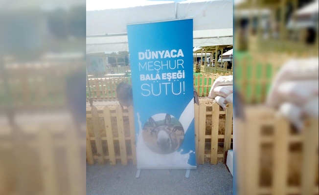 CHP İlçe Teşkilatın’dan eşekli afişe tepki: Sorumlularını kınıyoruz!