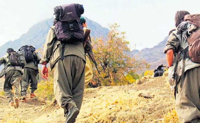 Pülümür’de 3 PKK'li ölü ele geçirildi