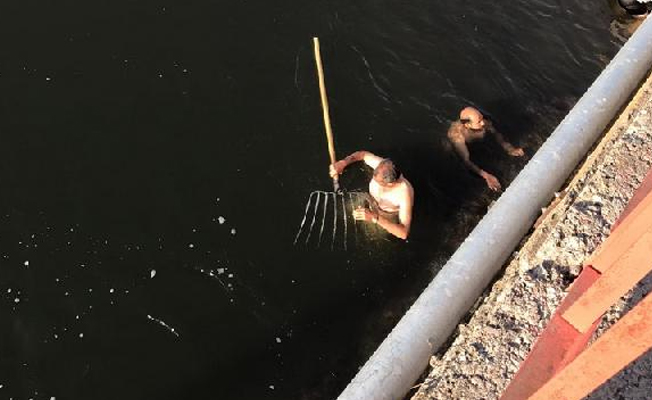 Suriyeli genç, serinlemek için girdiği çayda boğuldu