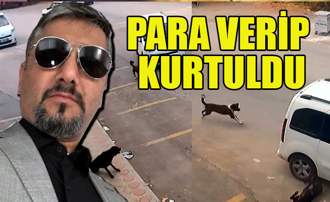Türkiye’nin konuştuğu ‘köpek ezen şoför’ hakkında karar!