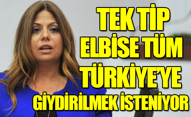 CHP’li Altıok: Tek tipçi akıl herkesi tek tipleştiriyor
