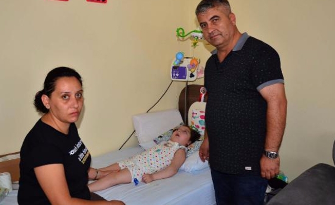 Bu hale düşmesinin sebebi kabak çekirdeği!