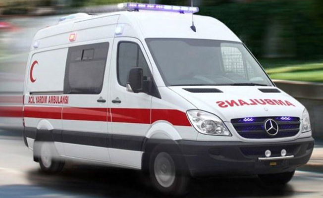 6 kişi mantardan zehirlendi!