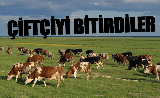 AKP'li Bakan tarımda iflas ettiğimizi resmen itiraf etti