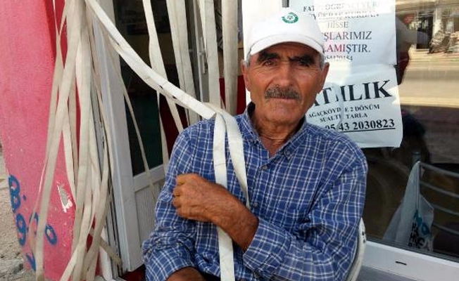 İki ayrı sürüye otomobil çarptı, çok sayıda koyun telef oldu!