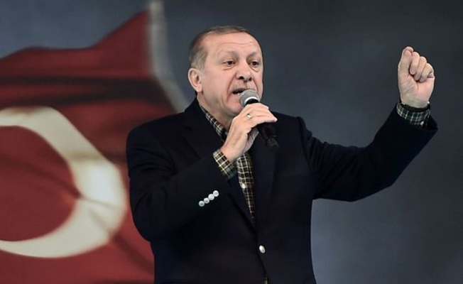 Almanya'dan Erdoğan'a 'Nazi dönemi' göndermesi