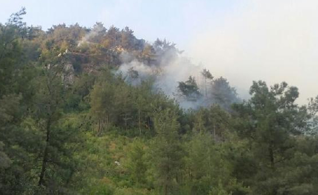 Bu seferde Hatay yandı!