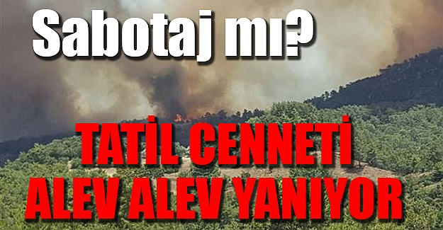 Antalya'da ikinci büyük yangın