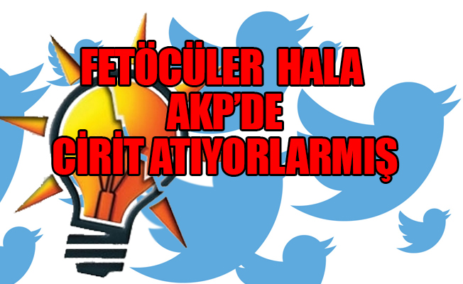 AKP'de twitter krizi...