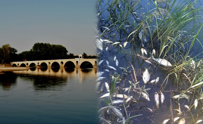 Meriç Nehri'nin bu görüntüsü içler acısı
