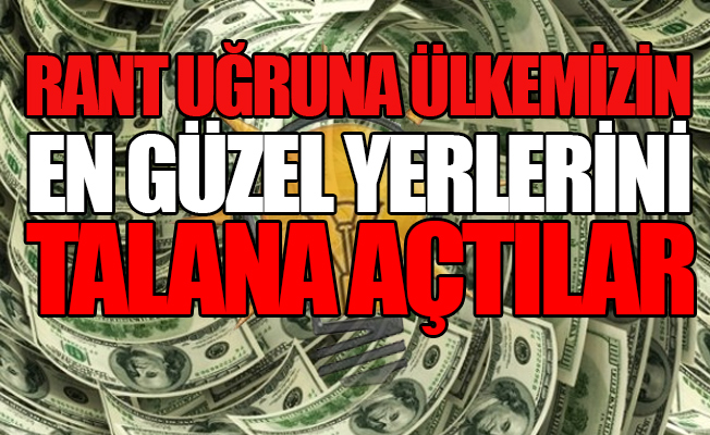 AKP'nin yeşilden anladığı tek şey Amerikan doları!