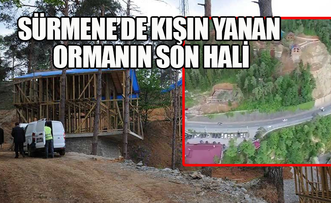 Sürmene’de verilen söz tutulmadı! Ağaç yerine villa inşa edildi!