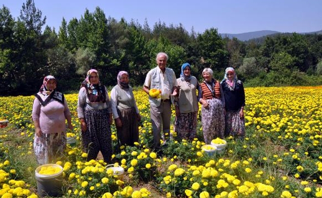 Yeşilçam'ın unutulmaz oyuncusu Hun Orhaneli'ye hayran kaldı!