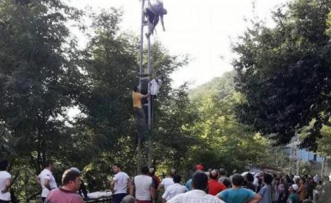 Elektrik direğine asılı kaldı!