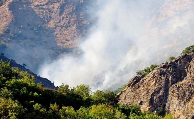 Tunceli ormanları yanıyor!