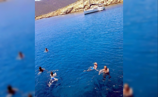 Denize girenlere caretta caretta saldırısı!