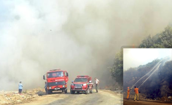 Bodrum'da korkutan yangın!