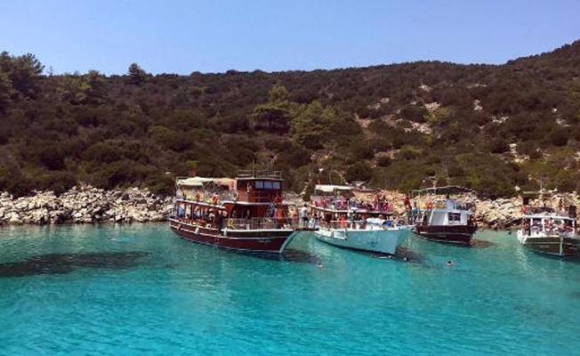Caretta Caratta saldırısından sonra Orak Adası'na uyarı levhaları konulacak!