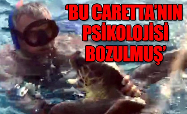 Turistlere saldıran Caretta Caretta'yı yakalamaya çalışan Bodrum Denizciler Derneği Başkanı canını zor kurtardı
