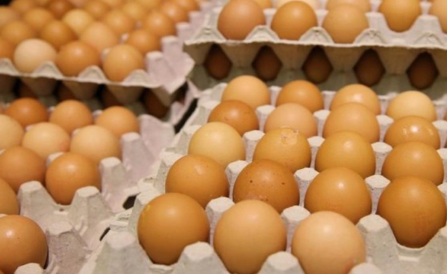 Bakanlık 'zehirli yumurta' skandalı için harekete geçti!
