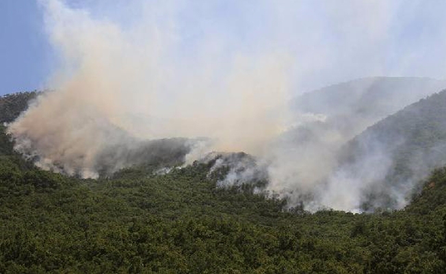 Tunceli Barosu Başkanı: Orman yangınları için suç duyurusunda bulunduk!