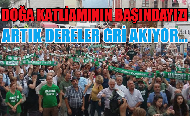 Cerattepe'de beklenen tahribat başladı! 2 bin 500 ağaç kesildi