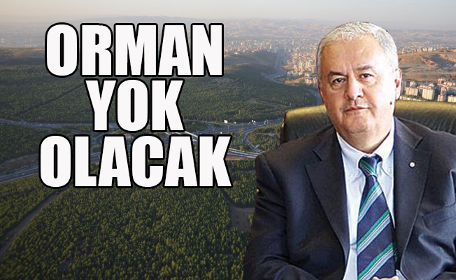 ODTÜ Rektörü: 24 hektara yakın bir orman alanı yok olacak