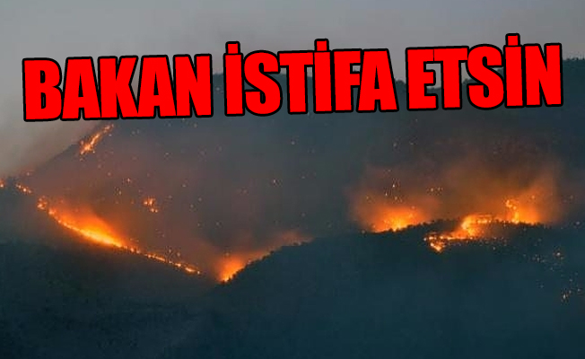 Ülke yangın yerine döndü; Orman Bakanlığı’ndan tek bir açıklama bile yok!