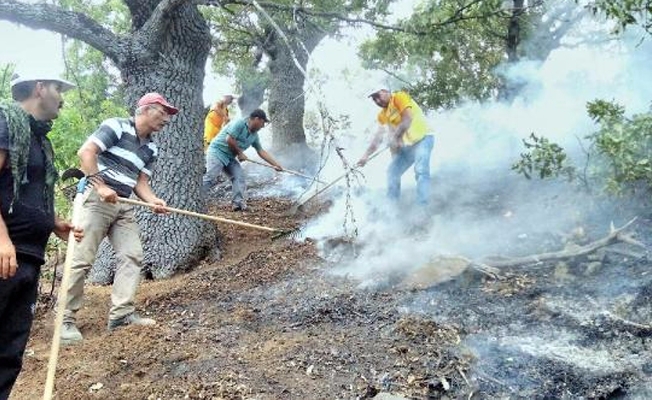 Tunceli'de orman yangınları kontrol altına alındı