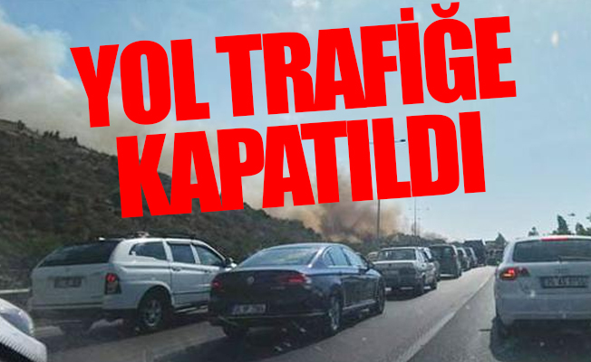 Otoyol kenarında korkutan yangın!
