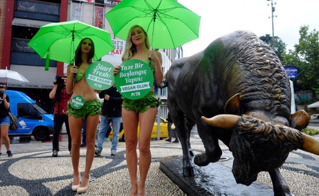 ABD'li veganlardan Kadıköy’de bikinili eylem