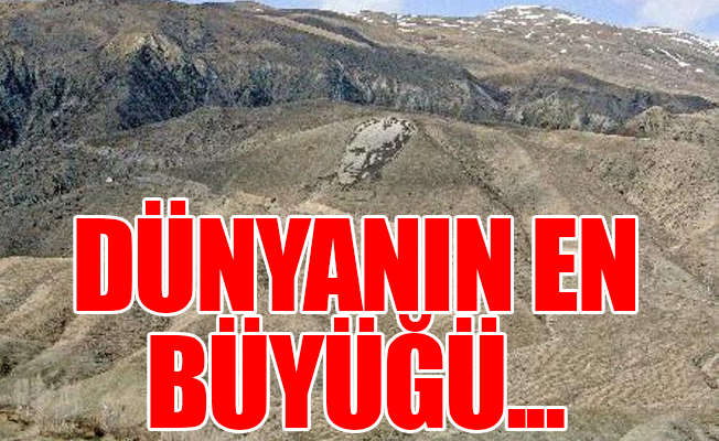 Dünyanın en büyük portresi 35 yıl sonra onarıma girdi