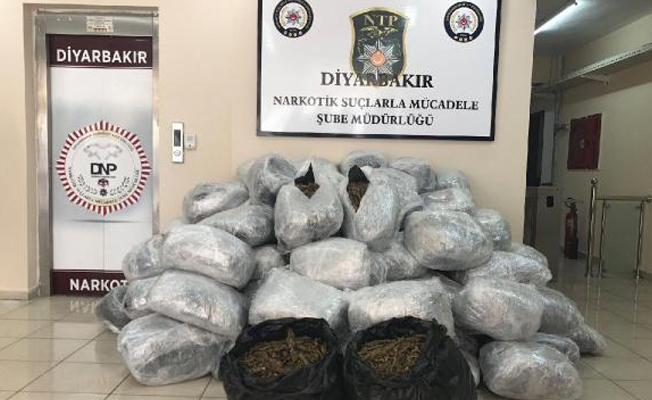 Polisin yaptığı operasyonda 442 kilo esrar ele geçirildi!