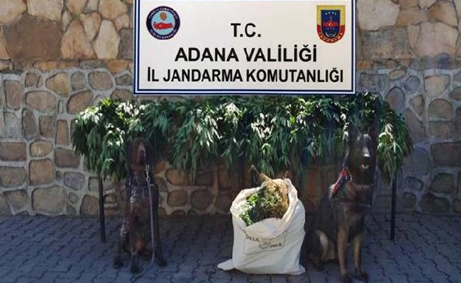 Adana'da drone'lu uyuşturucu operasyonu!