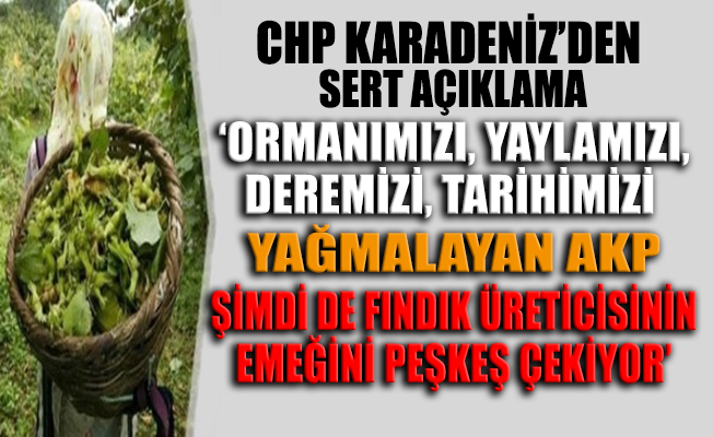 CHP Karadeniz illeri vekilleri: AKP, Türkiye'ye ihanet ediyor