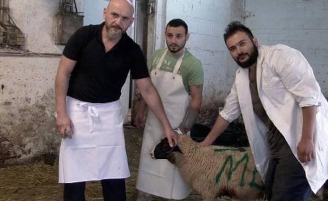 Almanya'da kurbanlıkların satışına başlandı!