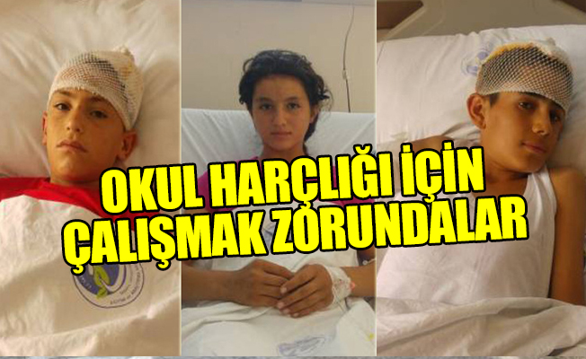 Sakarya'da 7 mevsimlik işçinin ölümünde yürekleri dağlayan ayrıntılar: Göz göre göre ölmüşler